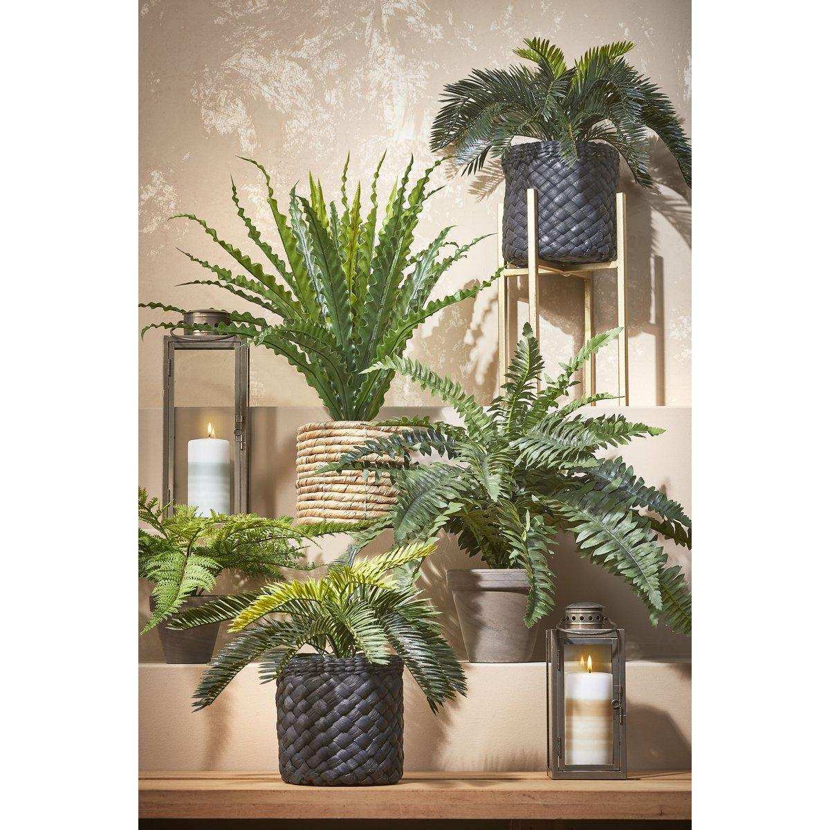 Künstliche Boston-Farnpflanze im Blumentopf Stan – H42 x Ø50 cm – Grün - HomeDesign Knaus