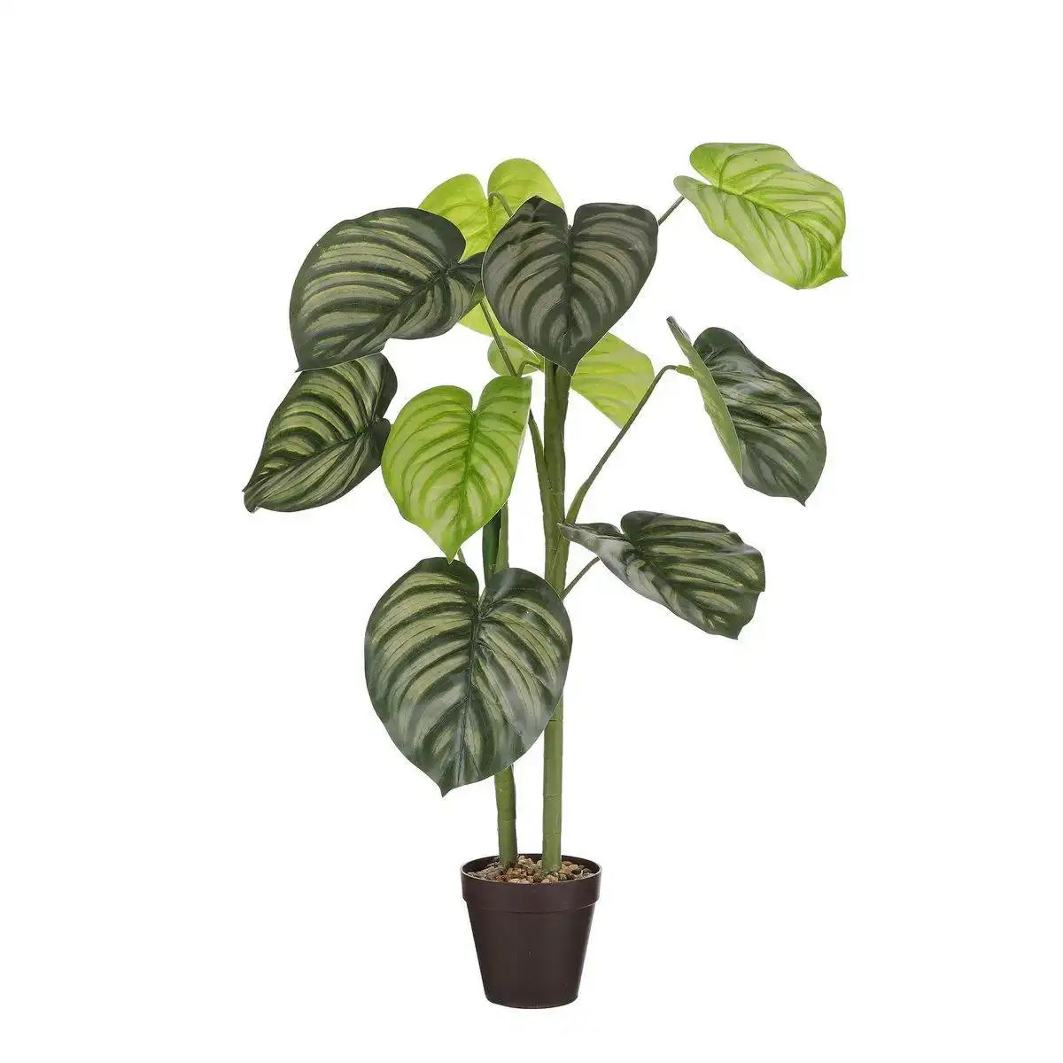 Künstliche Caladium-Pflanze im Blumentopf – H100 x Ø50 cm – Hellgrün - HomeDesign Knaus