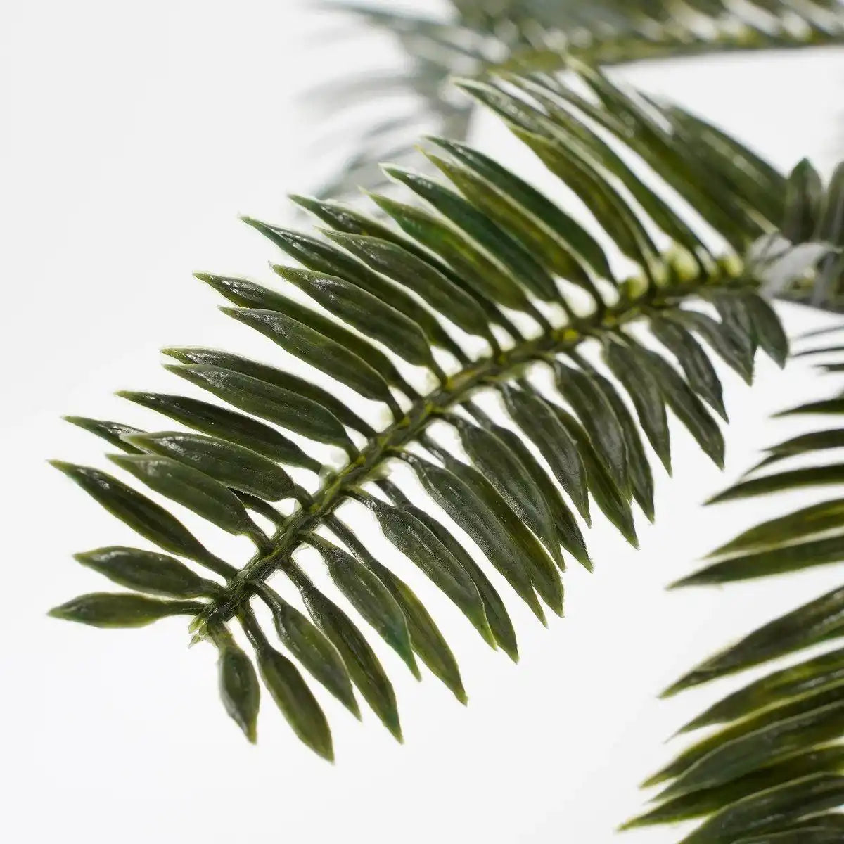 Künstliche Cycas-Palme im Blumentopf Stan – H33 x Ø34 cm – Grün - HomeDesign Knaus