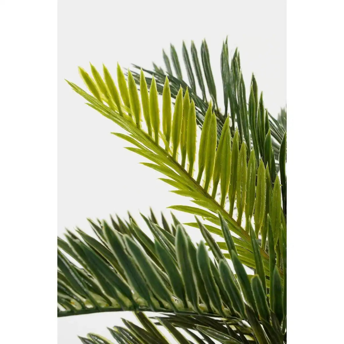 Künstliche Cycas-Palme im Blumentopf Stan – H33 x Ø34 cm – Grün - HomeDesign Knaus