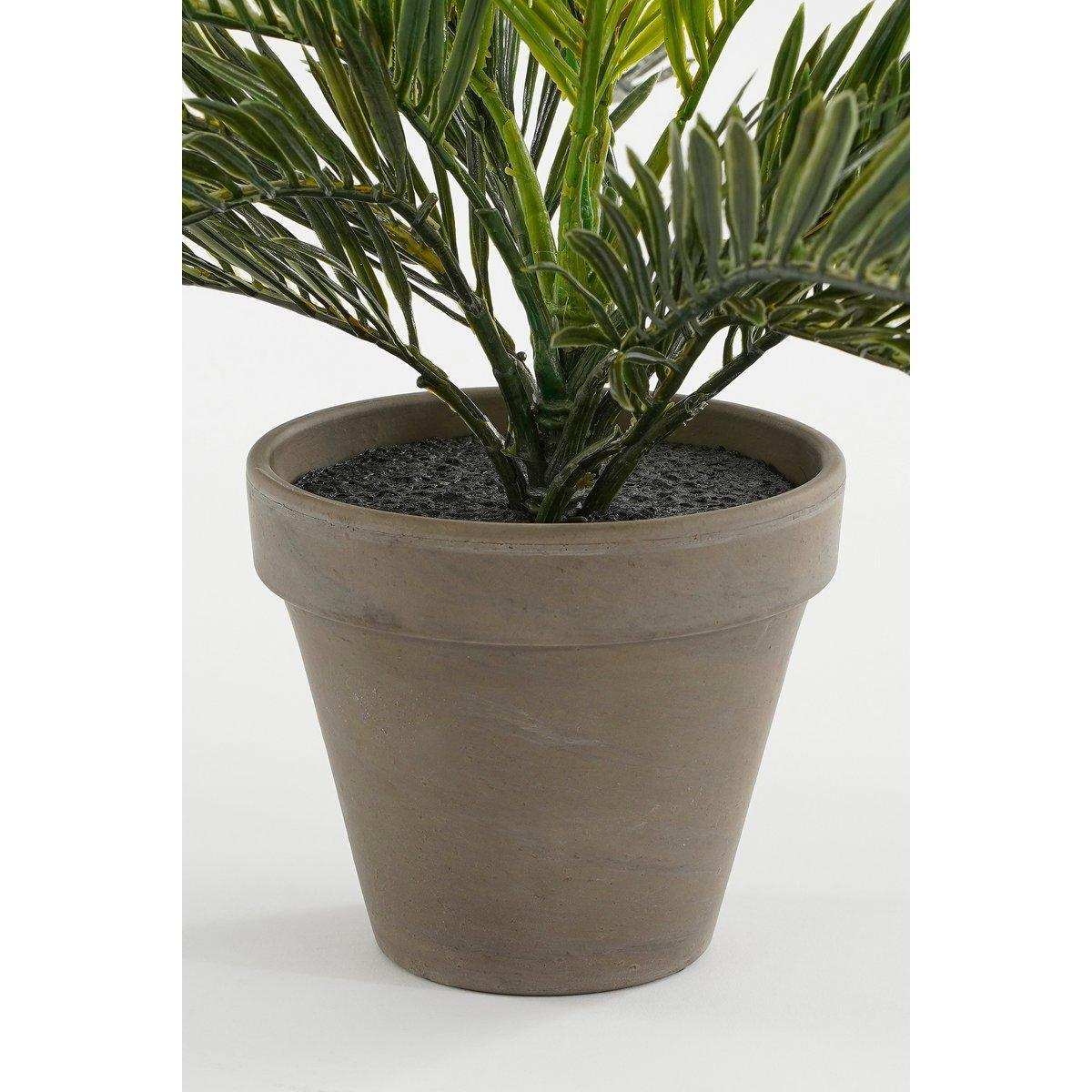 Künstliche Cycas-Palme im Blumentopf Stan – H33 x Ø34 cm – Grün - HomeDesign Knaus