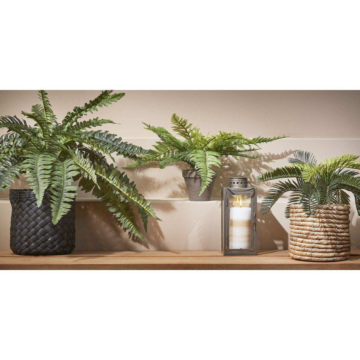 Künstliche Cycas-Palme im Blumentopf Stan – H33 x Ø34 cm – Grün - HomeDesign Knaus