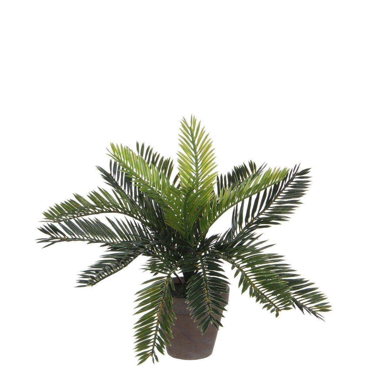 Künstliche Cycas-Palme im Blumentopf Stan – H33 x Ø34 cm – Grün - HomeDesign Knaus