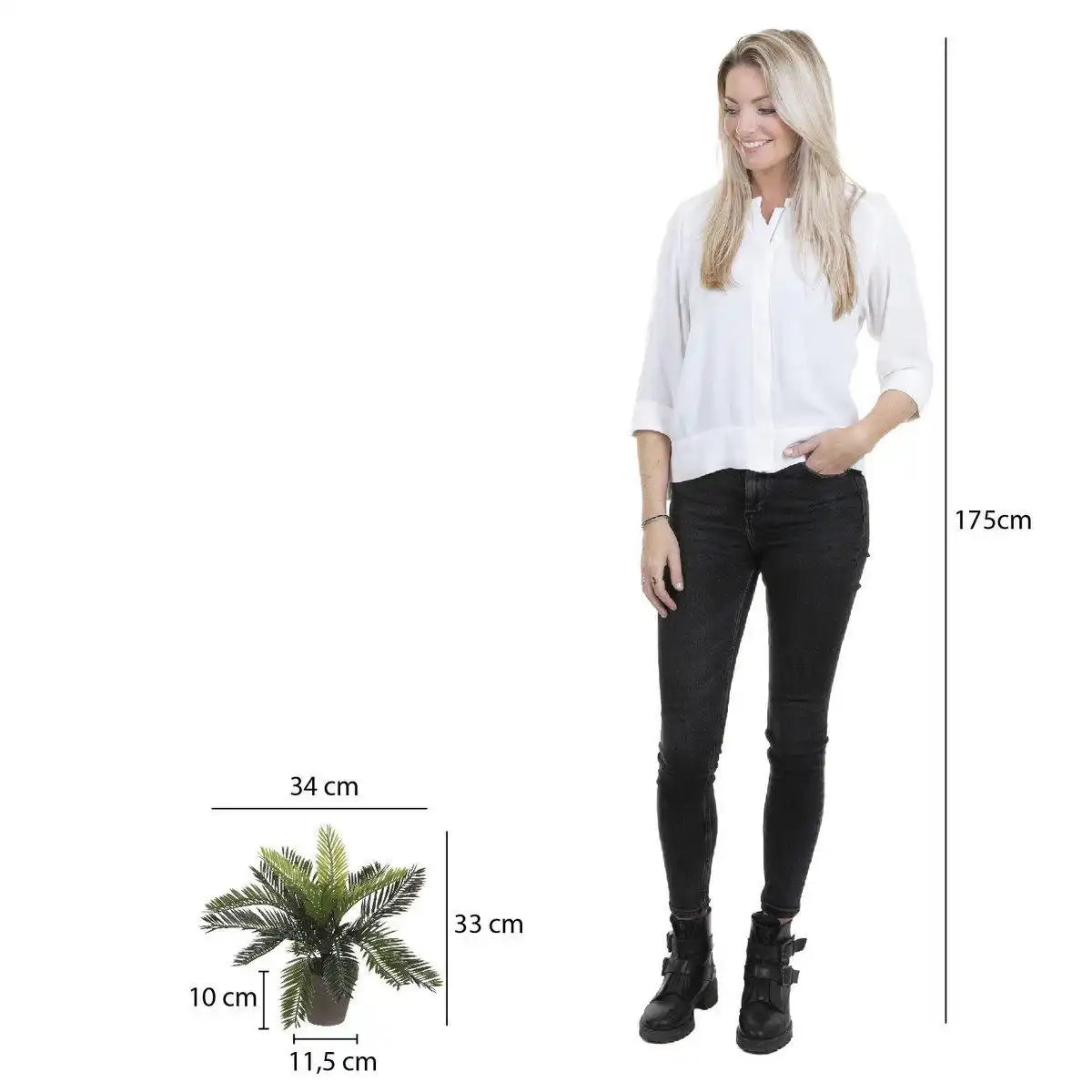 Künstliche Cycas-Palme im Blumentopf Stan – H33 x Ø34 cm – Grün - HomeDesign Knaus