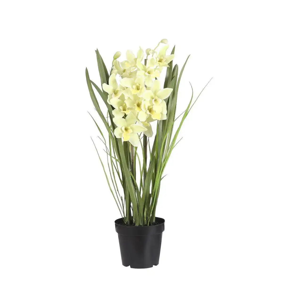 Künstliche Cymbidium-Orchideenpflanze – H97 x Ø20 cm – Hellgrün - HomeDesign Knaus