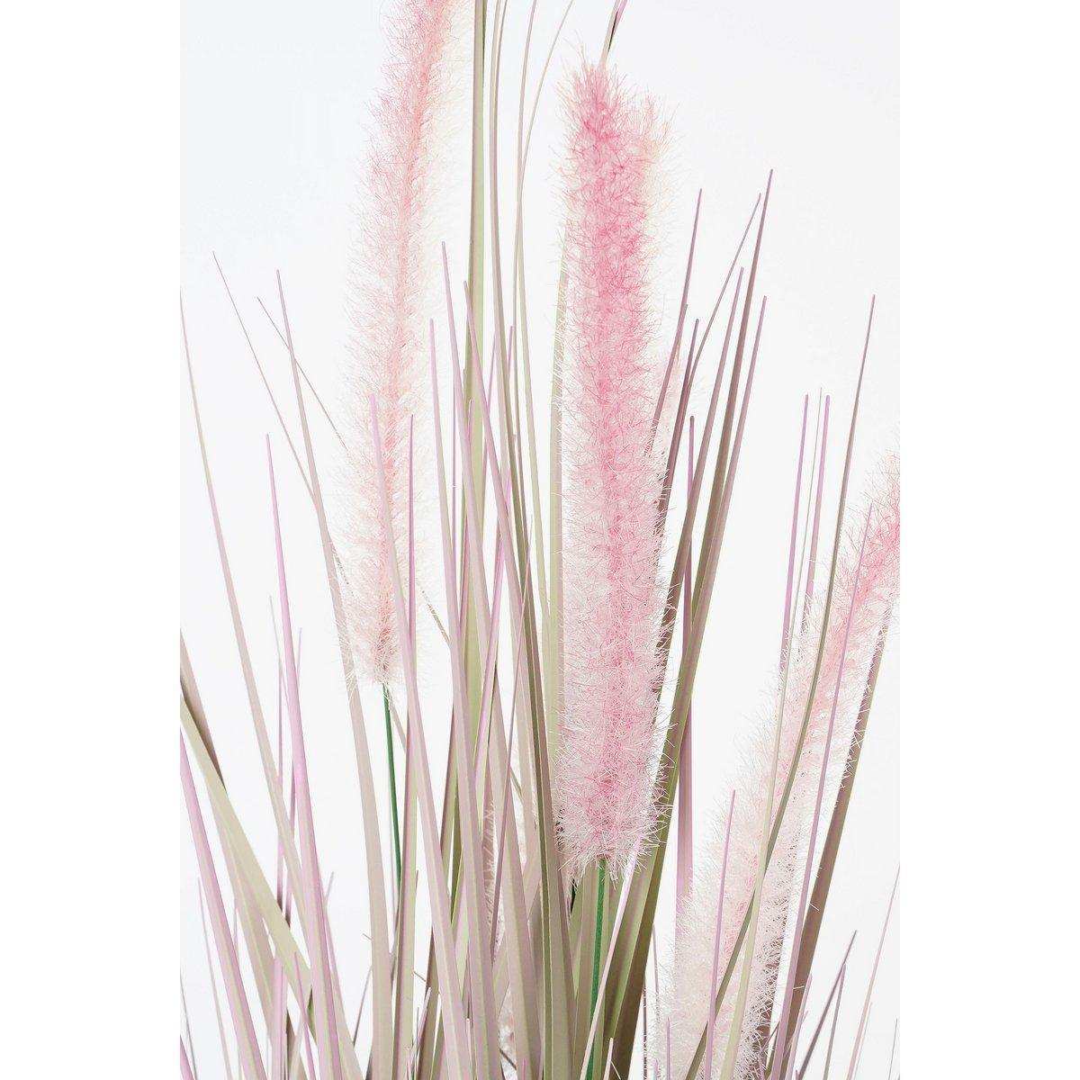 Künstliche Dogtail-Graspflanze – H53 x Ø30 cm – Lila - HomeDesign Knaus