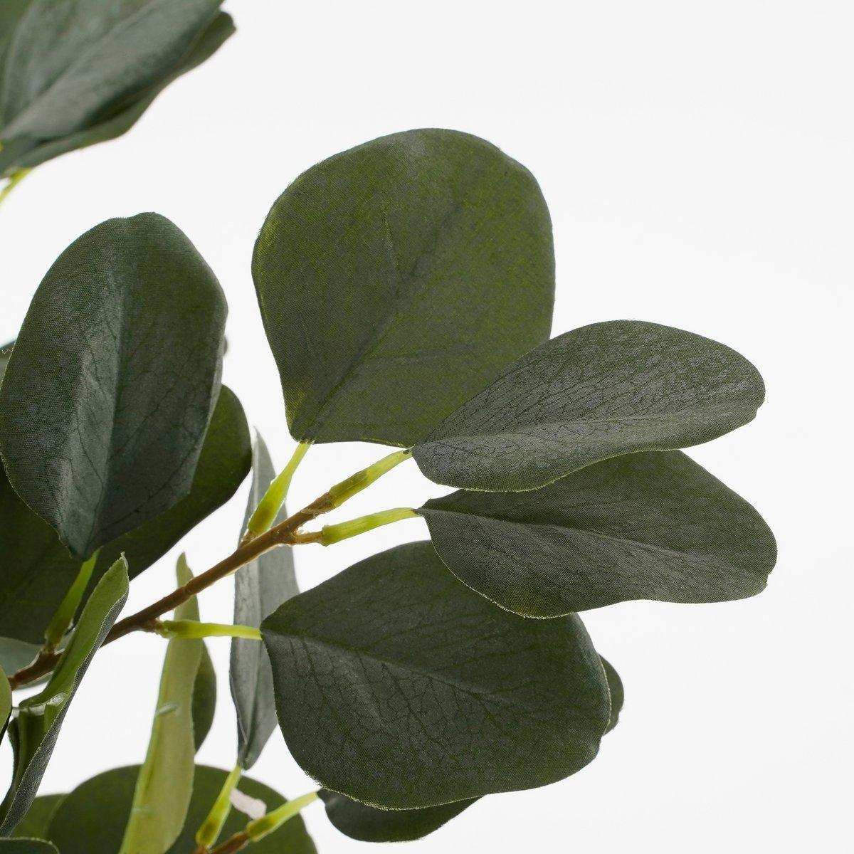 Künstliche Eukalyptuspflanze im Blumentopf – H75 x Ø15 cm – Grün - HomeDesign Knaus