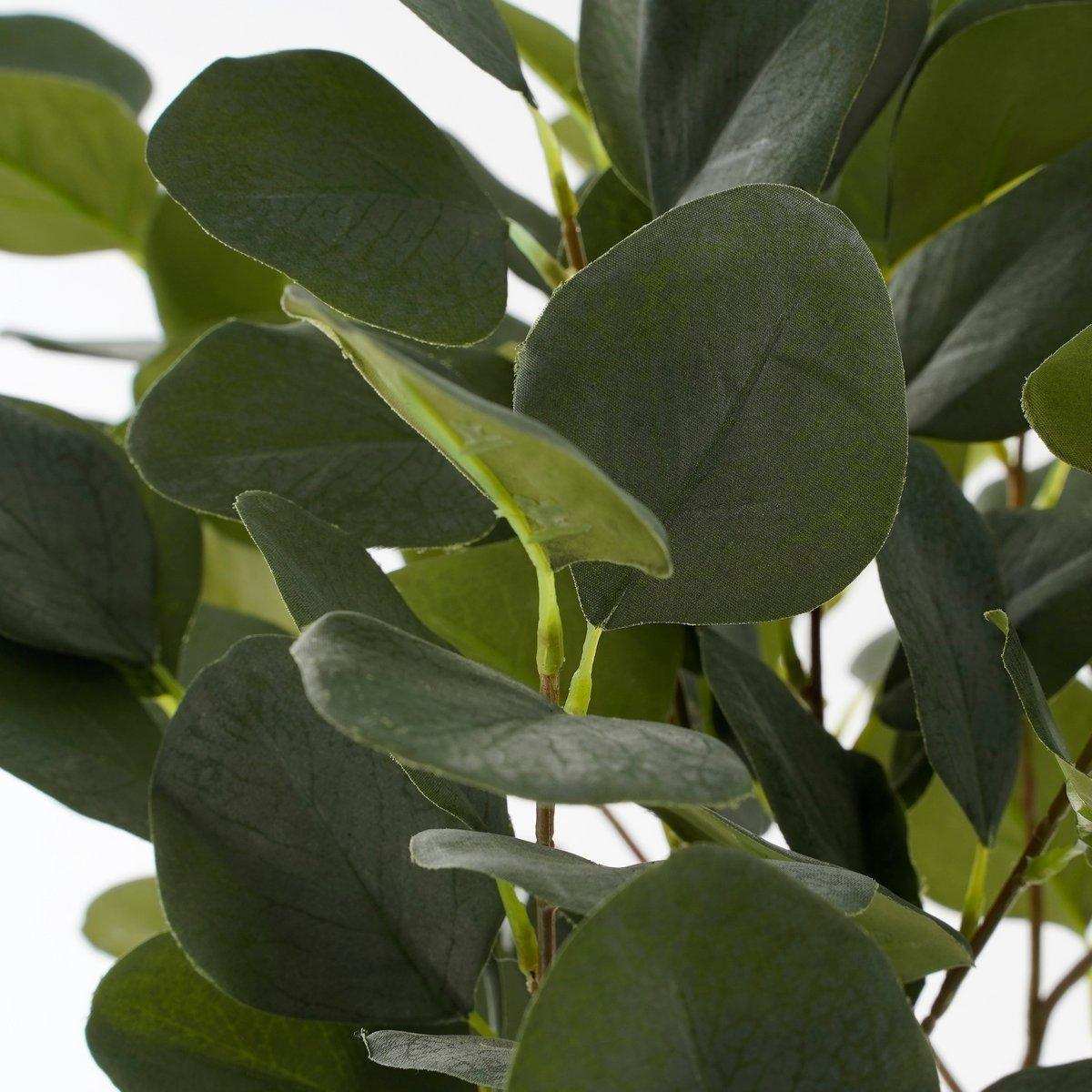 Künstliche Eukalyptuspflanze im Blumentopf – H75 x Ø15 cm – Grün - HomeDesign Knaus