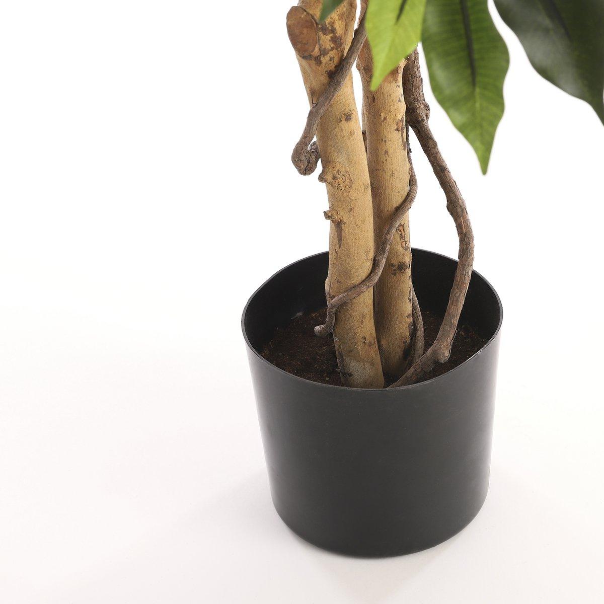 Künstliche Ficus-Pflanze – H110 x Ø65 cm – Grün - HomeDesign Knaus