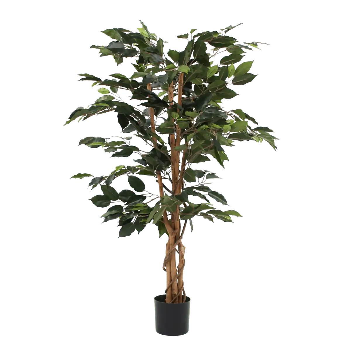 Künstliche Ficus-Pflanze – H110 x Ø65 cm – Grün - HomeDesign Knaus