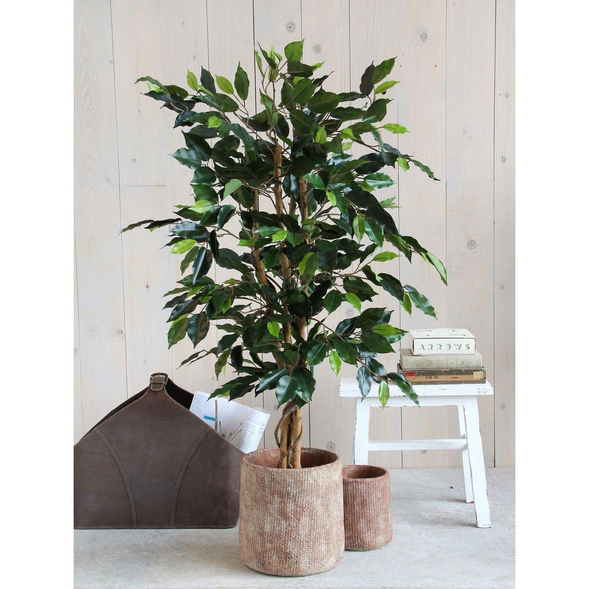 Künstliche Ficus-Pflanze – H110 x Ø65 cm – Grün - HomeDesign Knaus