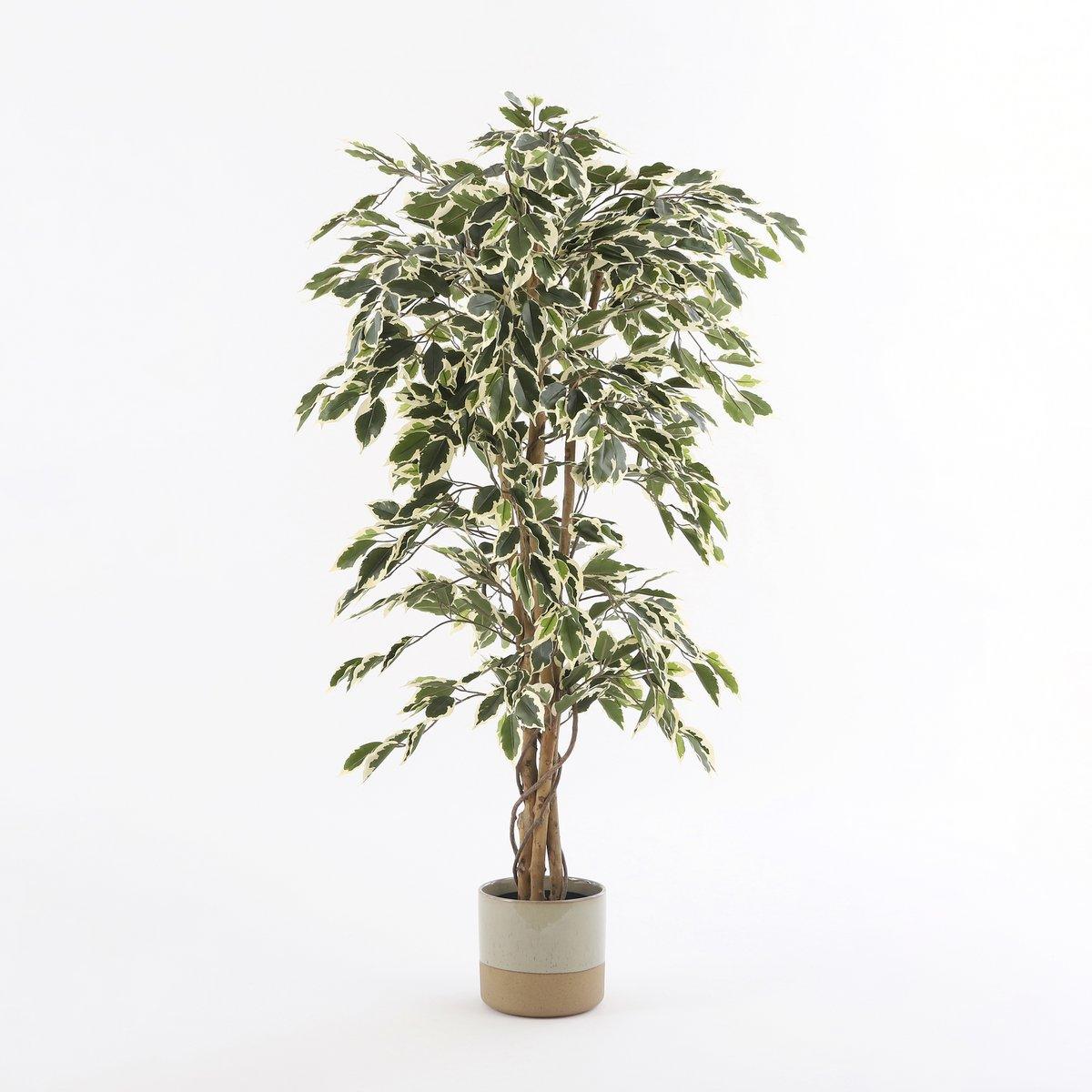 Künstliche Ficus-Pflanze – H150 x Ø75 cm – grün bunt - HomeDesign Knaus