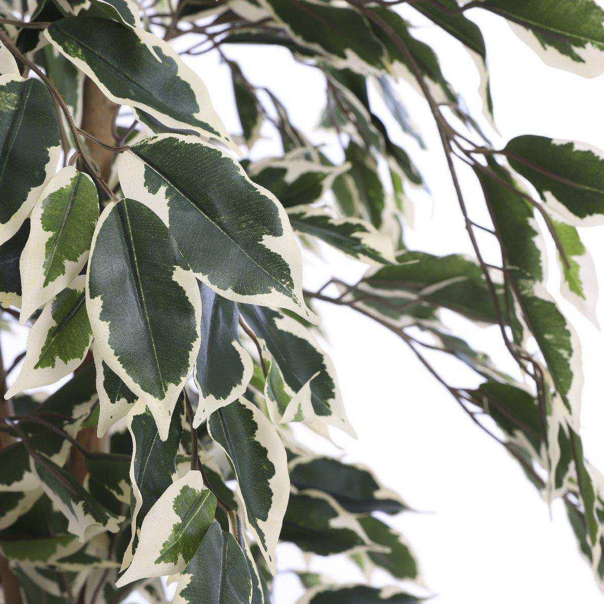 Künstliche Ficus-Pflanze – H150 x Ø75 cm – grün bunt - HomeDesign Knaus