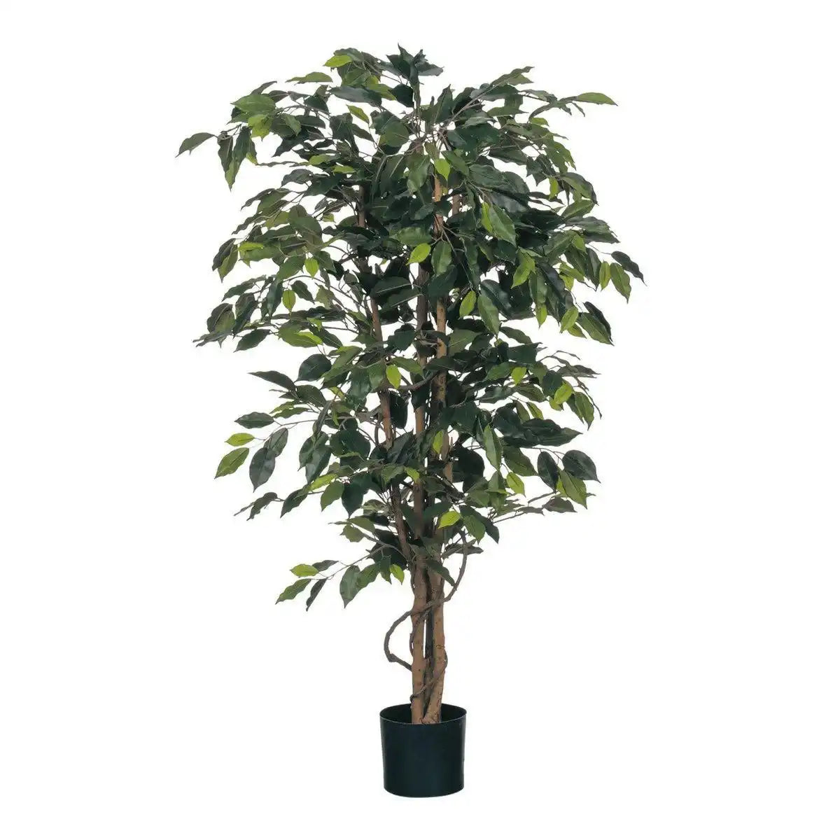 Künstliche Ficus-Pflanze – H150 x Ø85 cm – Grün - HomeDesign Knaus