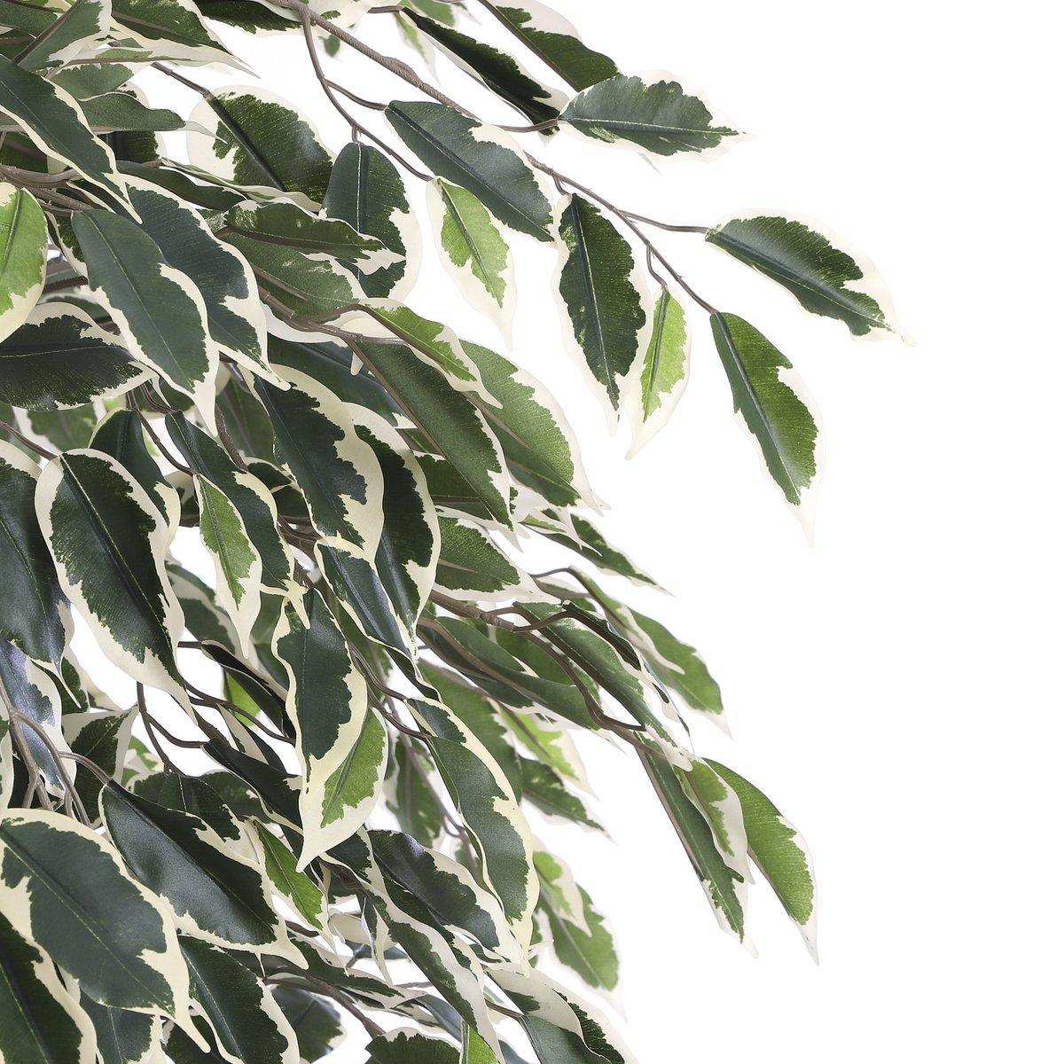 Künstliche Ficus-Pflanze – H180 x Ø90 cm – grün bunt - HomeDesign Knaus