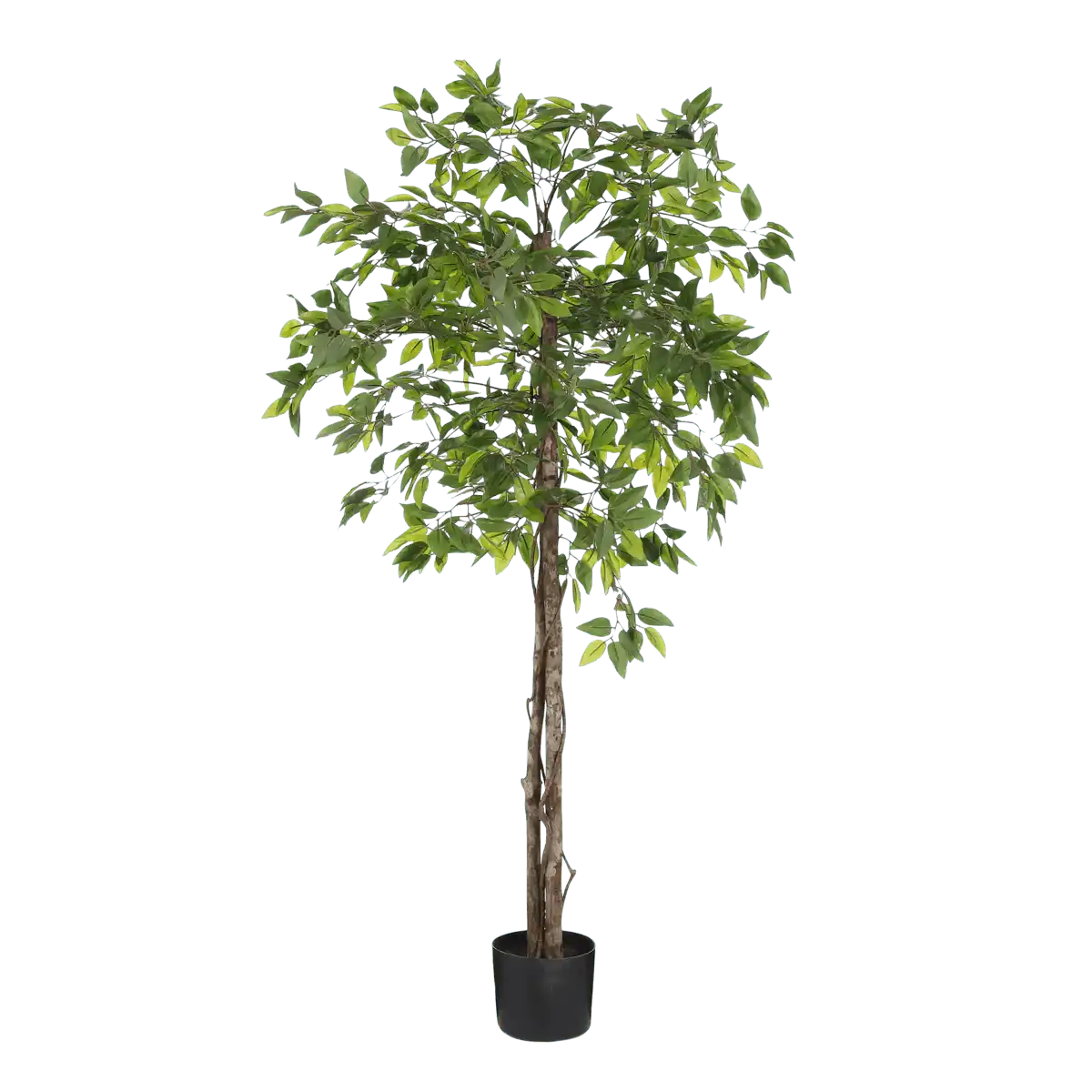 Künstliche Ficus-Pflanze im Blumentopf – H150 x Ø50 cm – Grün - HomeDesign Knaus
