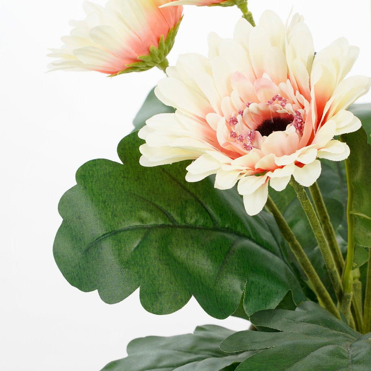 Künstliche Gerbera-Pflanze im Blumentopf Stan – H35 x Ø30 cm – Creme - HomeDesign Knaus