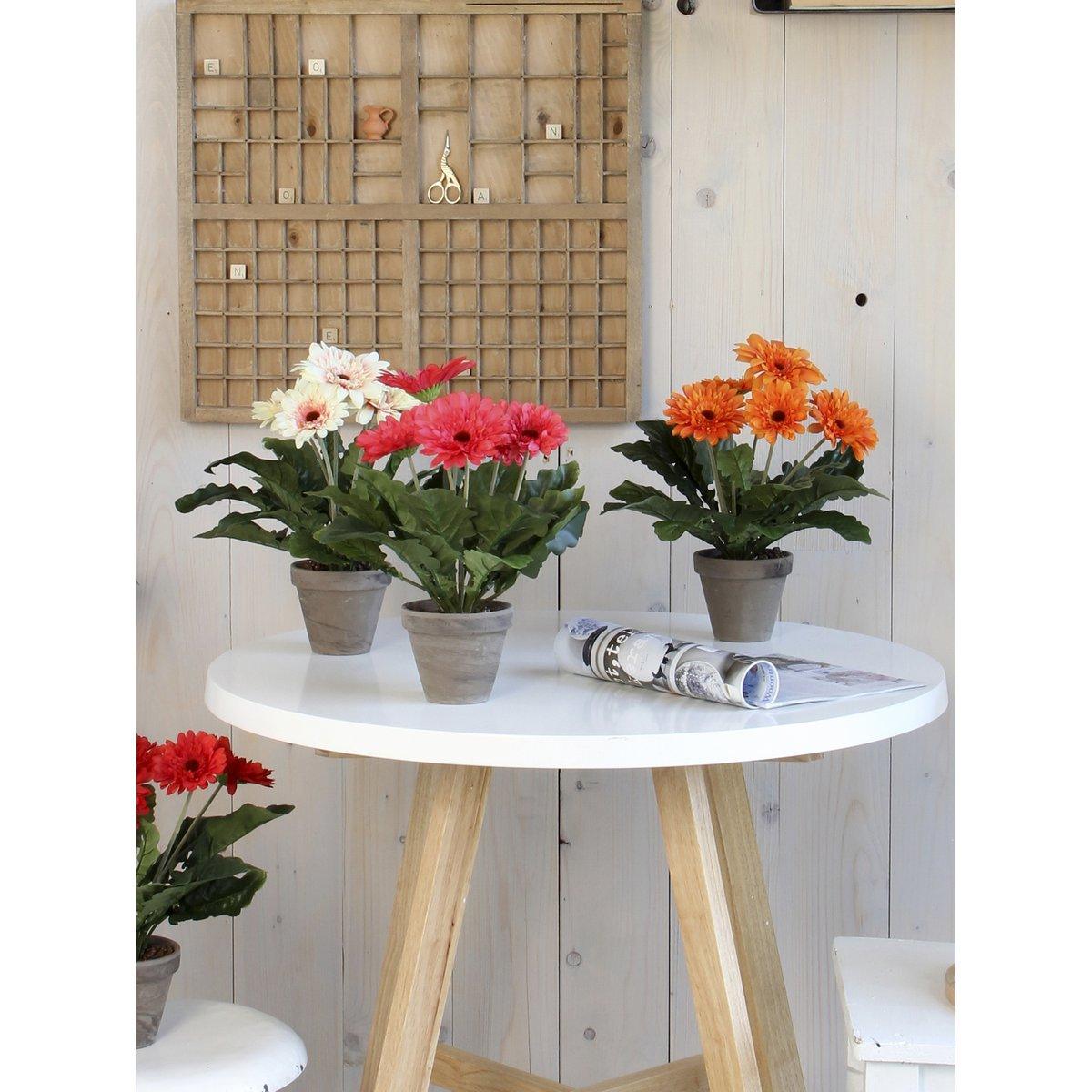 Künstliche Gerbera-Pflanze im Blumentopf Stan – H35 x Ø30 cm – Creme - HomeDesign Knaus