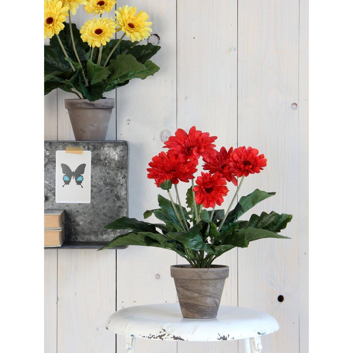 Künstliche Gerbera-Pflanze im Blumentopf Stan – H35 x Ø30 cm – Rot - HomeDesign Knaus