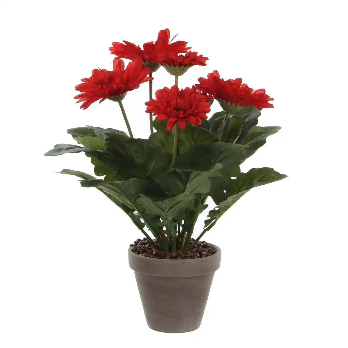 Künstliche Gerbera-Pflanze im Blumentopf Stan – H35 x Ø30 cm – Rot - HomeDesign Knaus