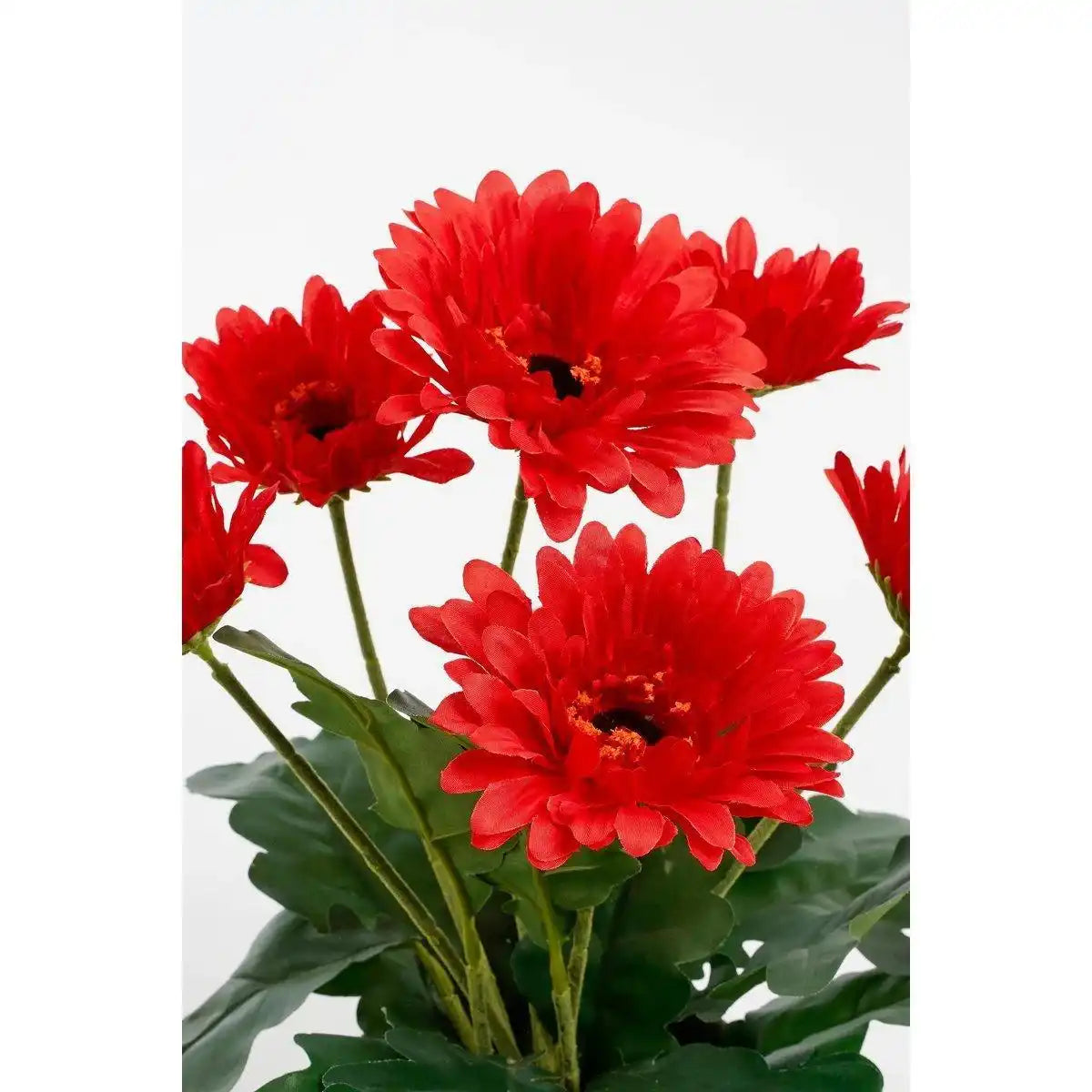 Künstliche Gerbera-Pflanze im Blumentopf Stan – H35 x Ø30 cm – Rot - HomeDesign Knaus