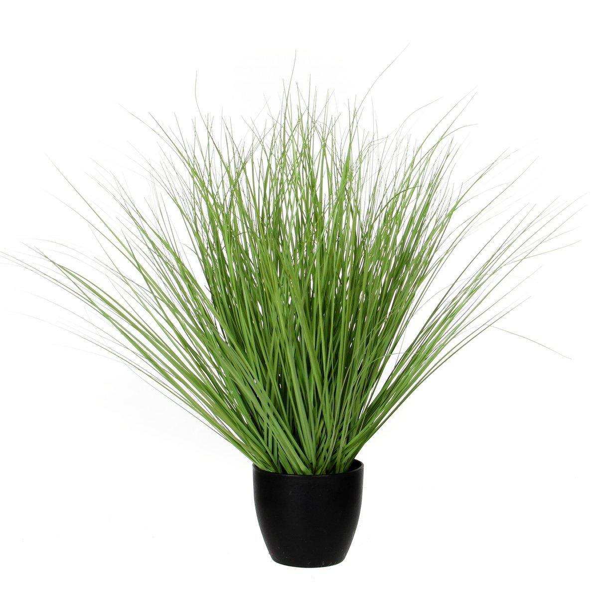 Künstliche Graspflanze – H68 x Ø50 cm – Grün - HomeDesign Knaus
