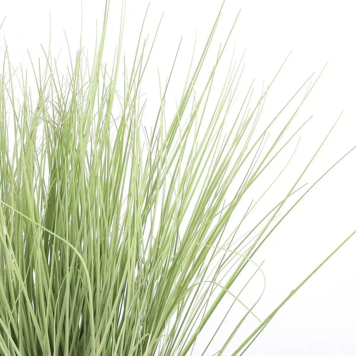 Künstliche Graspflanze – H68 x Ø50 cm – Grün - HomeDesign Knaus