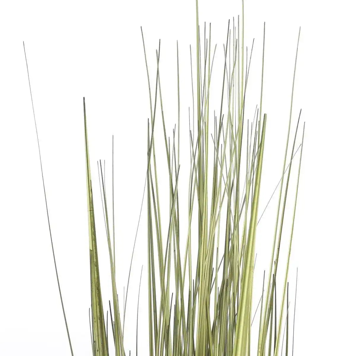 Künstliche Graspflanze – H92 x Ø35 cm – Grün - HomeDesign Knaus