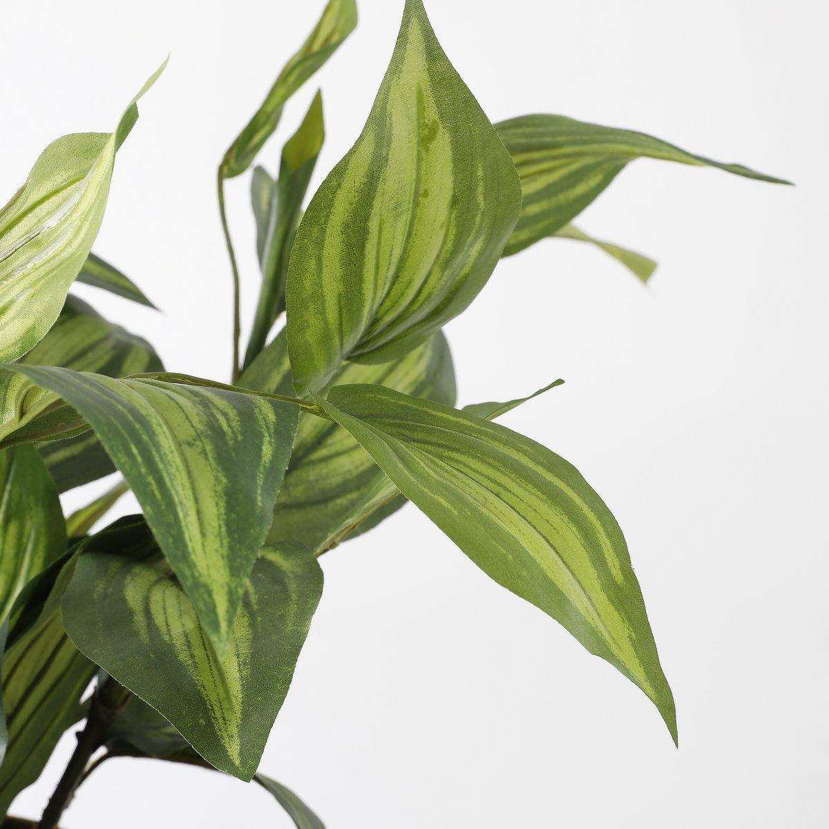 Künstliche Hosta-Pflanze im Blumentopf Stan – H65 x Ø40 cm – Grün - HomeDesign Knaus
