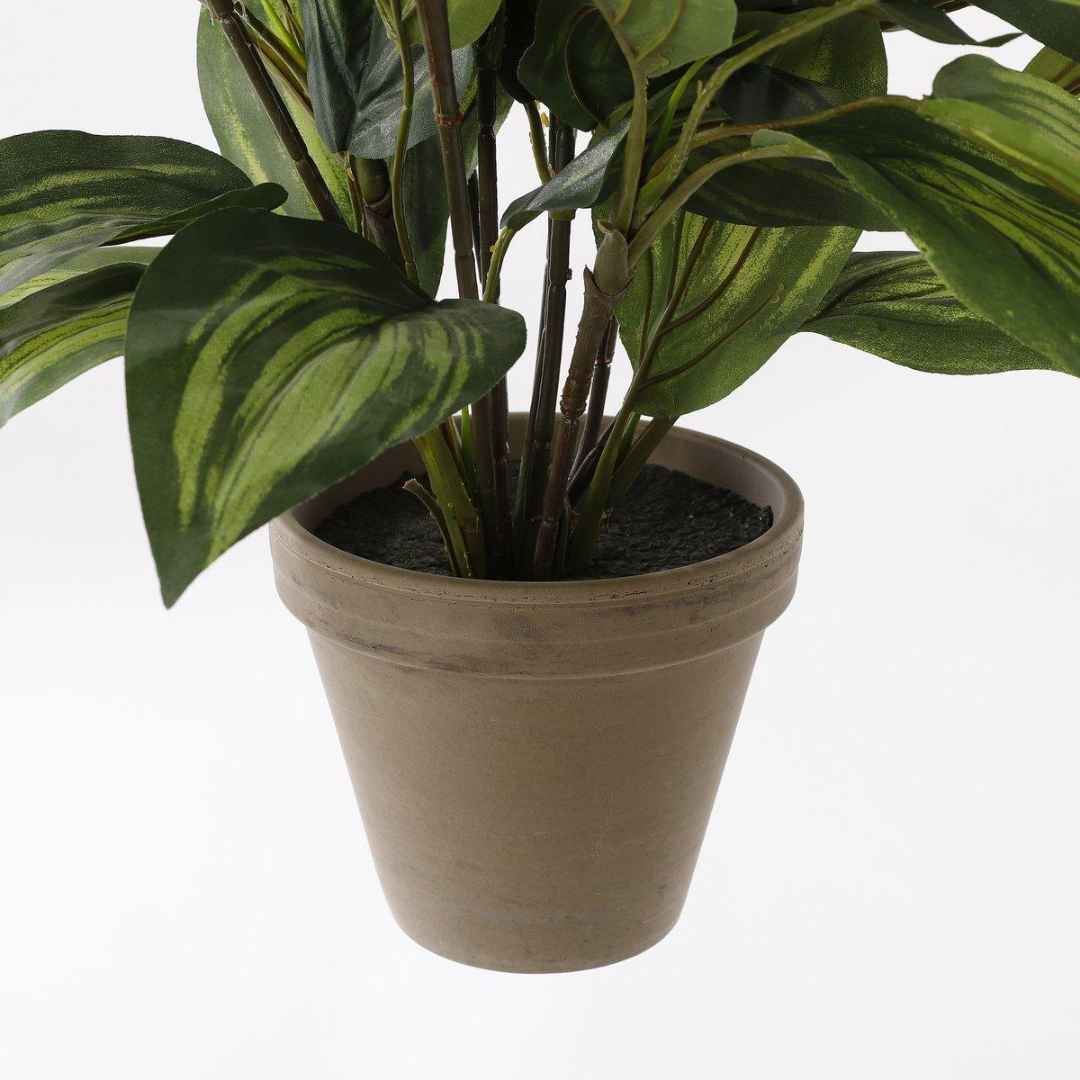 Künstliche Hosta-Pflanze im Blumentopf Stan – H65 x Ø40 cm – Grün - HomeDesign Knaus