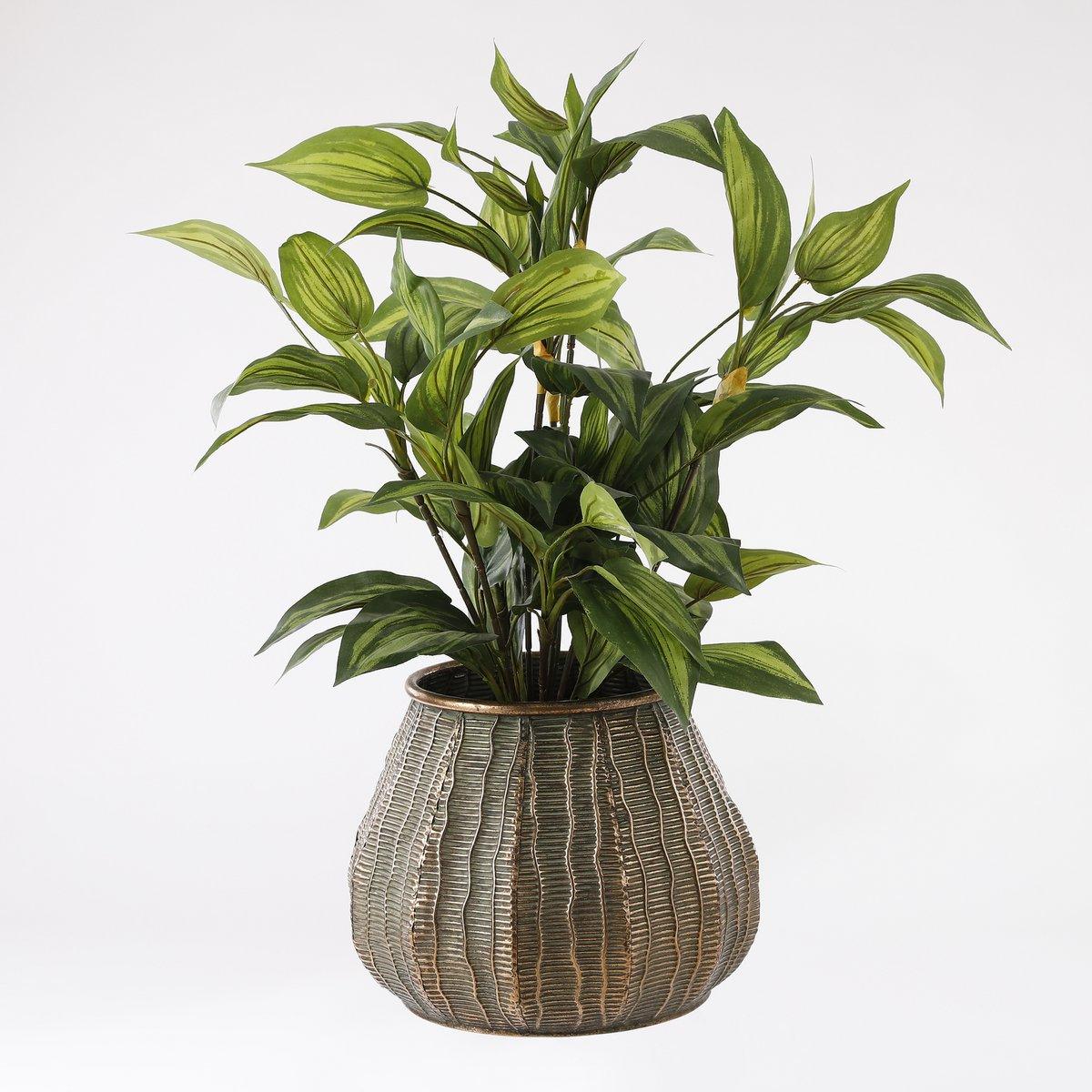 Künstliche Hosta-Pflanze im Blumentopf Stan – H65 x Ø40 cm – Grün - HomeDesign Knaus