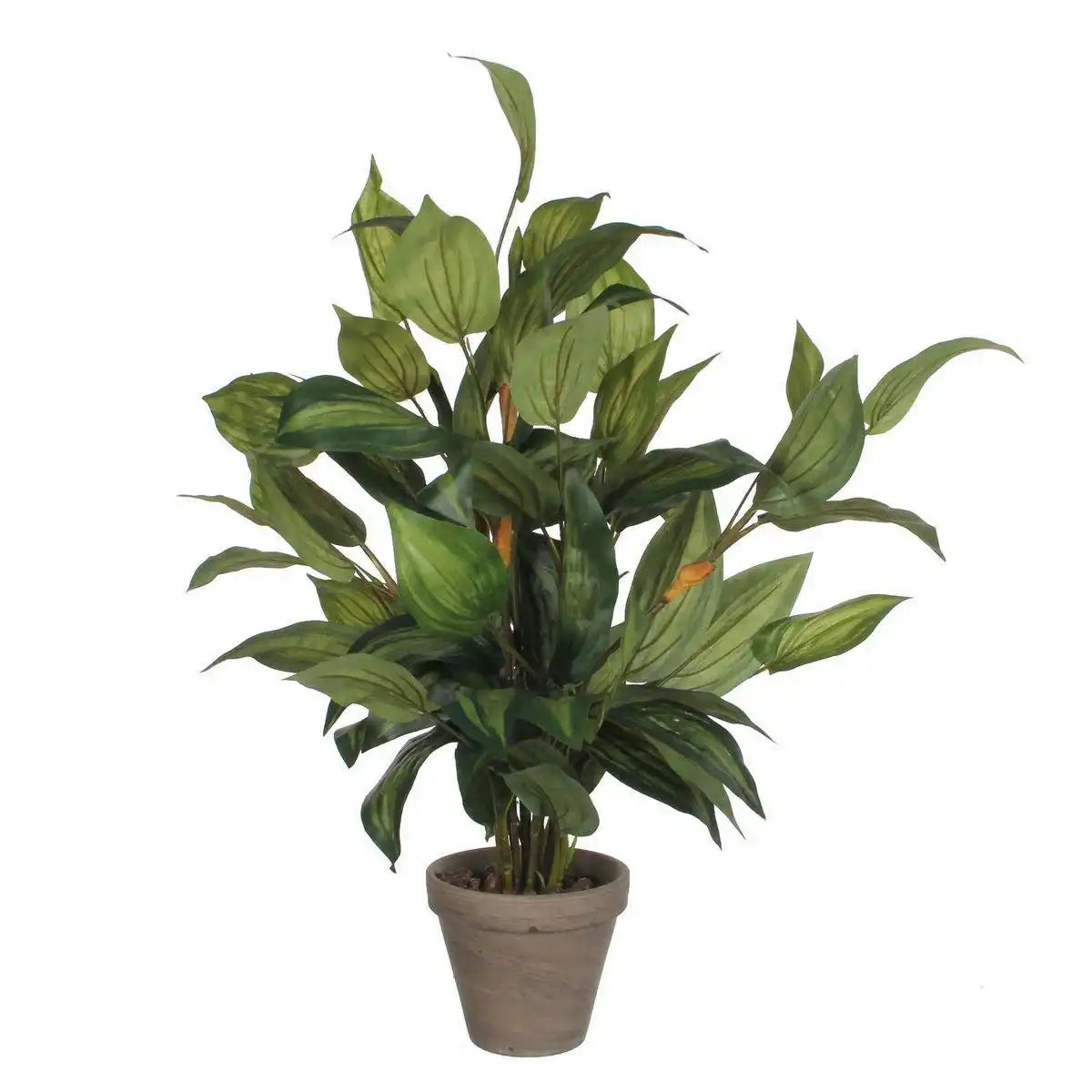 Künstliche Hosta-Pflanze im Blumentopf Stan – H65 x Ø40 cm – Grün - HomeDesign Knaus