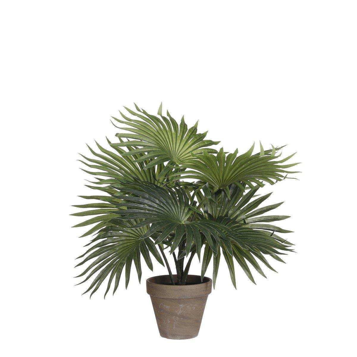 Künstliche Palmenpflanze im Blumentopf Stan – H40 x Ø35 cm – Grün - HomeDesign Knaus