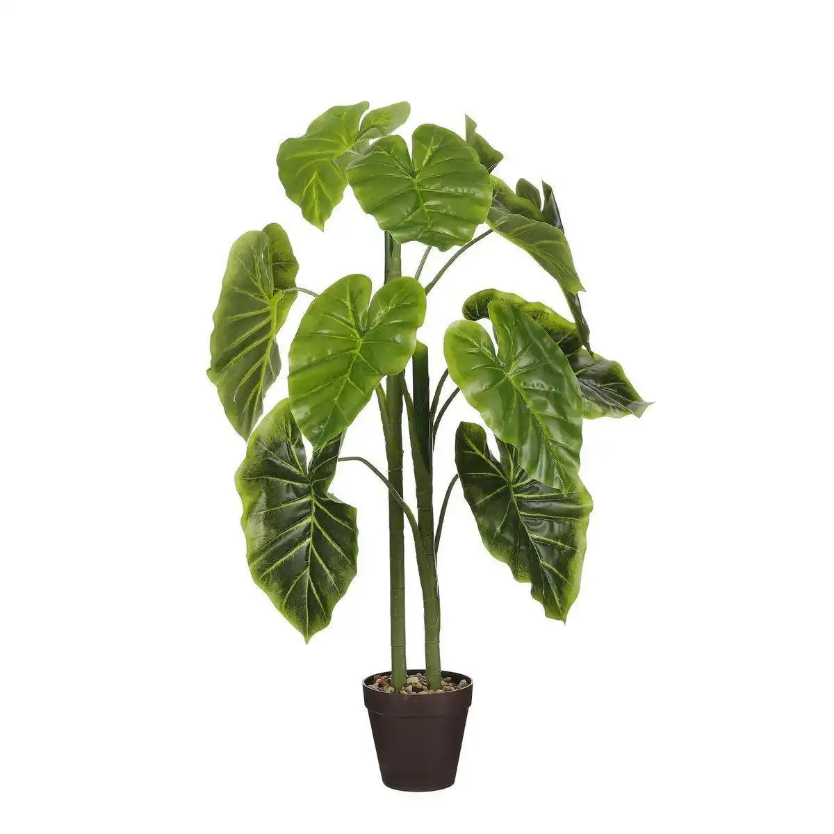 Künstliche Pflanze Alocasia im Blumentopf – H100 x Ø50 cm – Grün - HomeDesign Knaus