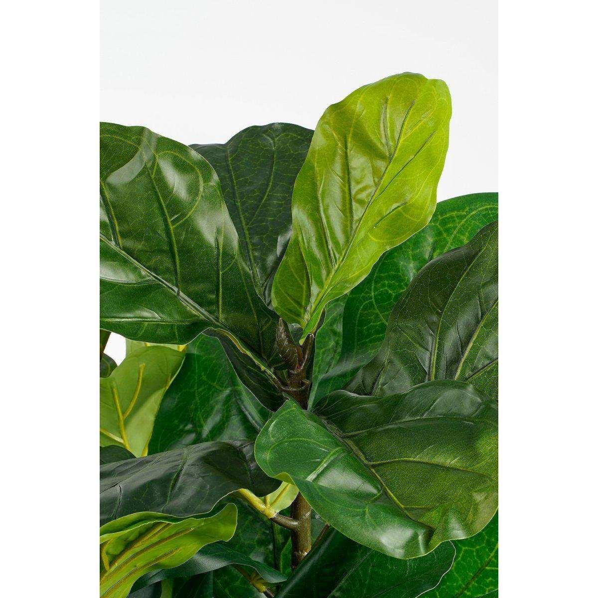 Künstliche Pflanze Ficus Lyrata – H150 x Ø80 cm – Grün - HomeDesign Knaus