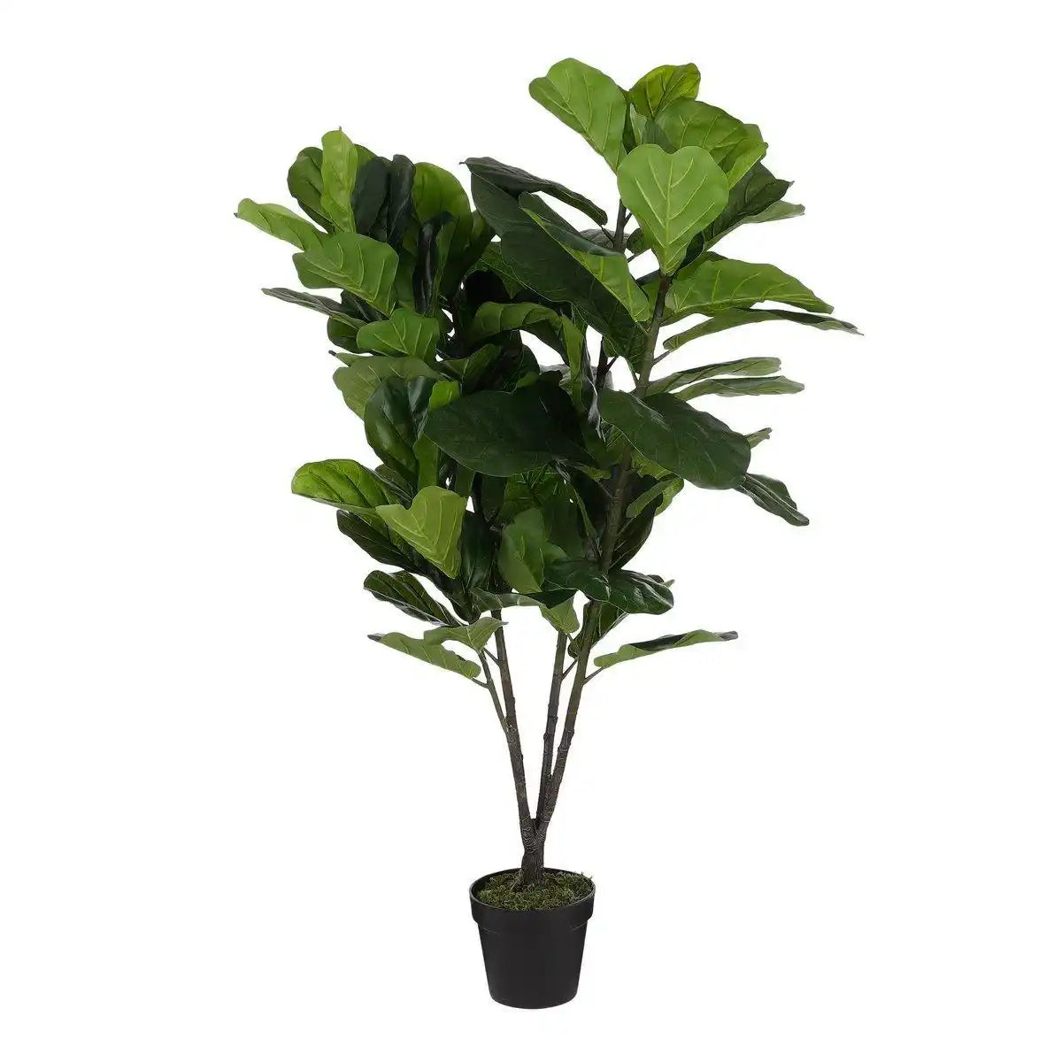 Künstliche Pflanze Ficus Lyrata – H150 x Ø80 cm – Grün - HomeDesign Knaus