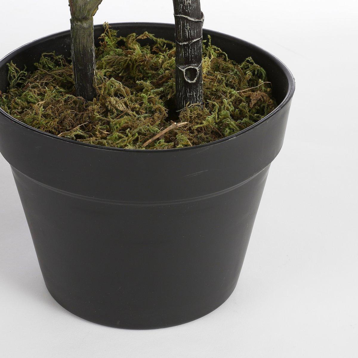 Künstliche Pflanze Ficus Lyrata – H75 x Ø60 cm – Grün - HomeDesign Knaus