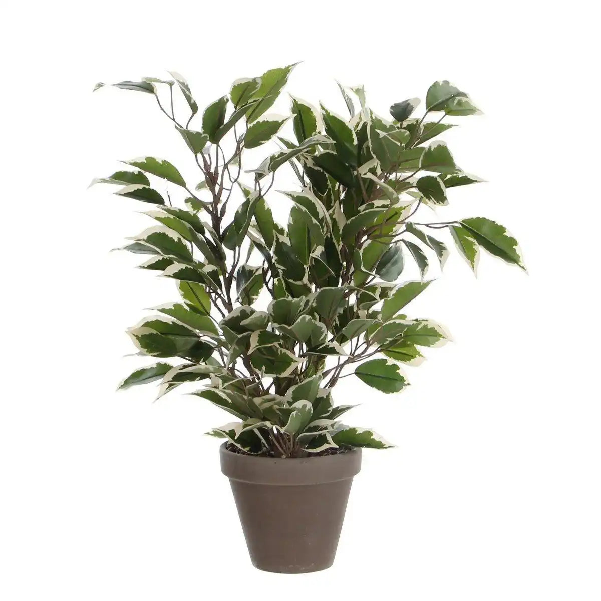 Künstliche Pflanze Ficus Natasja im Blumentopf Stan - H40 x Ø30 cm - Grün Bunt - HomeDesign Knaus