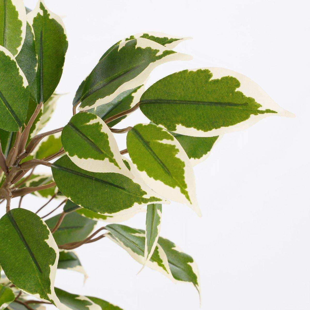 Künstliche Pflanze Ficus Natasja im Blumentopf Stan - H40 x Ø30 cm - Grün Bunt - HomeDesign Knaus