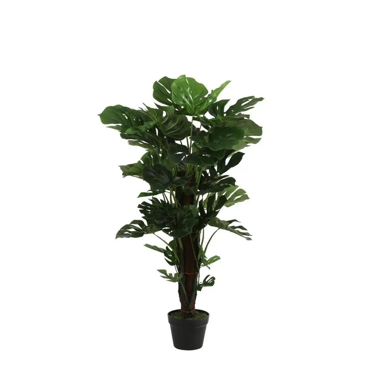 Künstliche Pflanze Monstera – H105 x Ø60 cm – Grün - HomeDesign Knaus