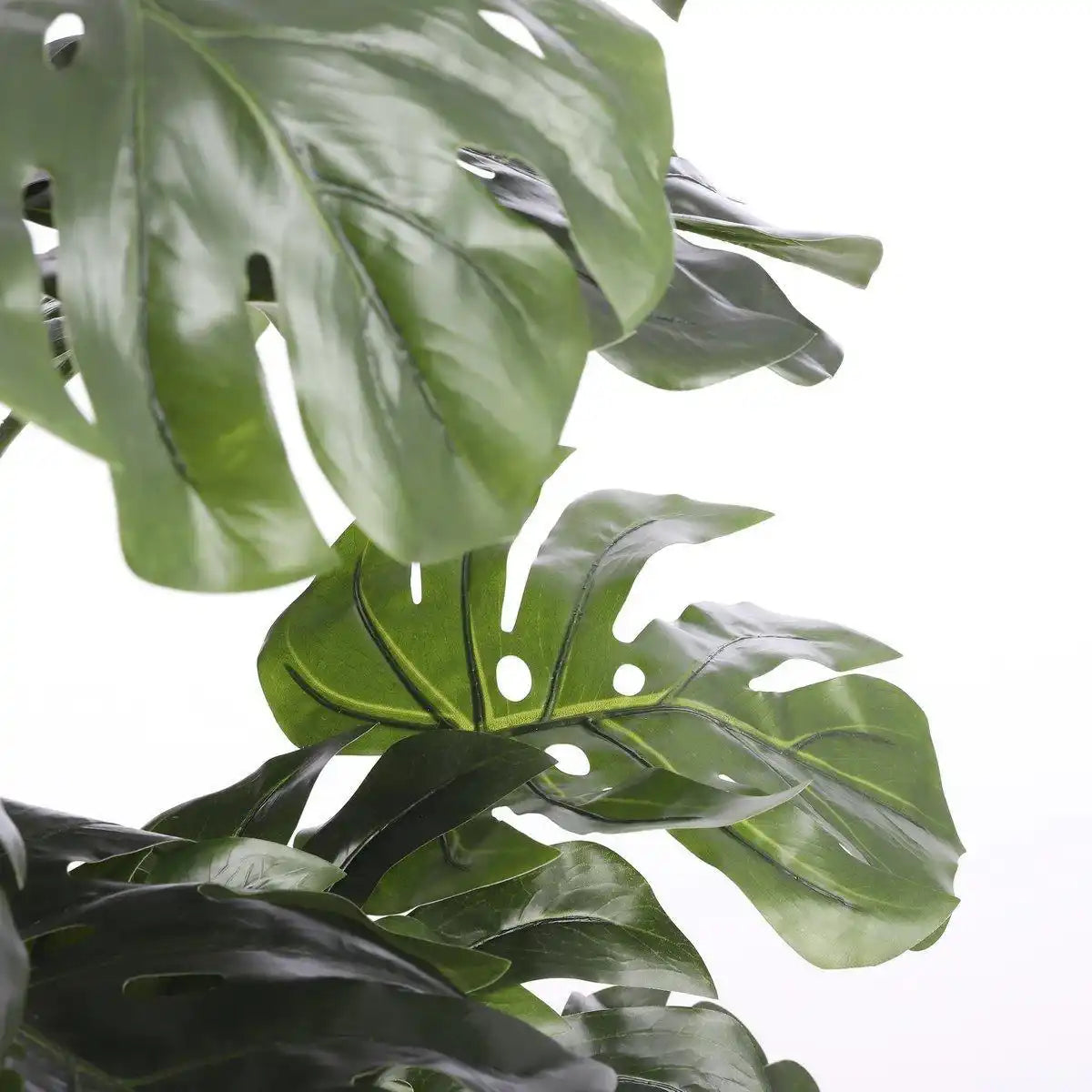 Künstliche Pflanze Monstera – H140 x Ø80 cm – Grün - HomeDesign Knaus