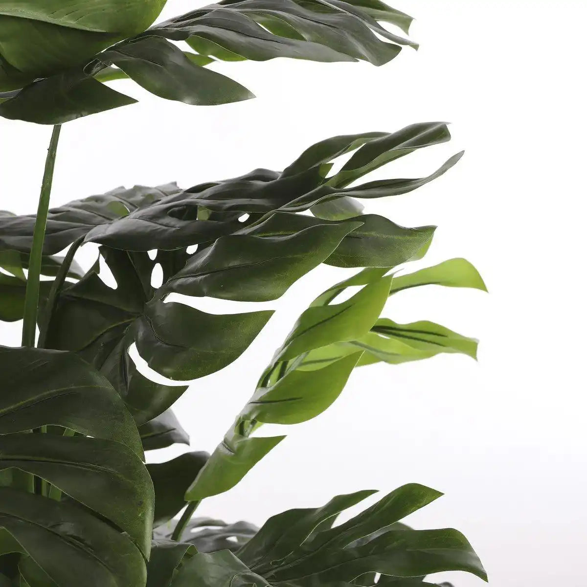 Künstliche Pflanze Monstera – H160 x Ø80 cm – Grün - HomeDesign Knaus