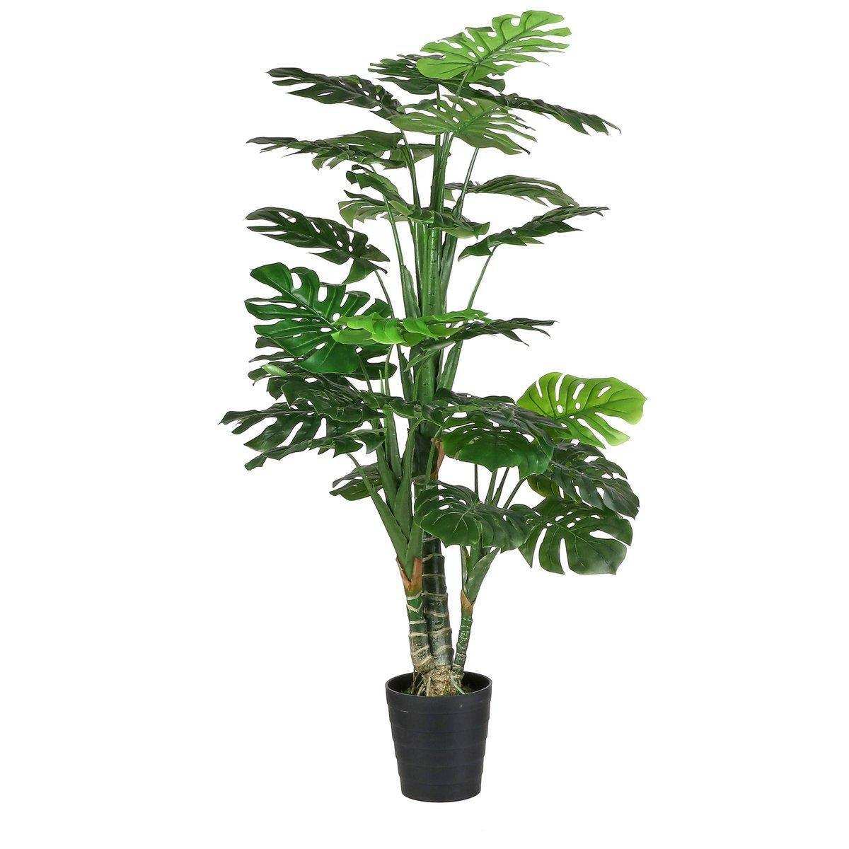 Künstliche Pflanze Monstera – H160 x Ø80 cm – Grün - HomeDesign Knaus