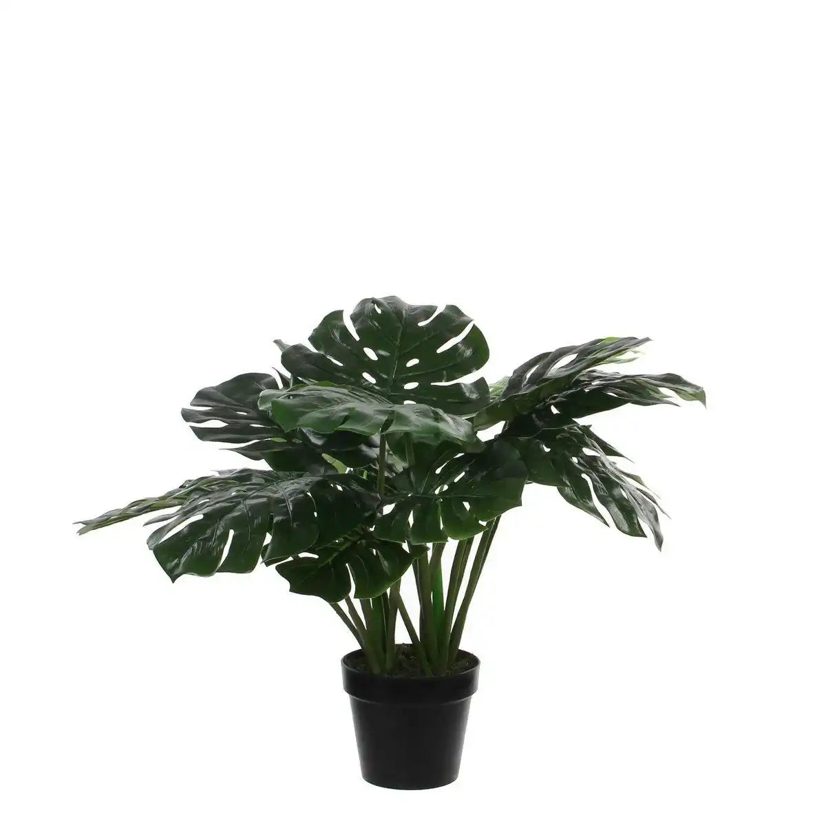 Künstliche Pflanze Monstera – H60 x Ø80 cm – Grün - HomeDesign Knaus