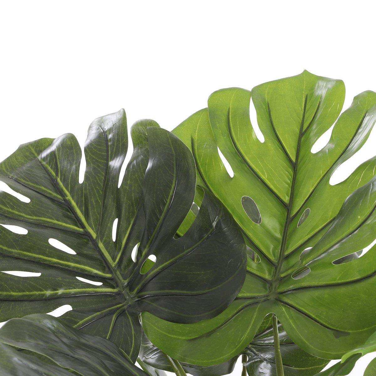 Künstliche Pflanze Monstera – H60 x Ø80 cm – Grün - HomeDesign Knaus