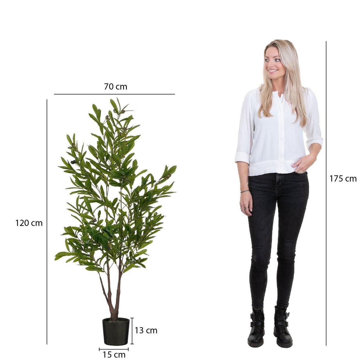 Künstliche Pflanze Olivenbaum im Topf – H120 x Ø70 cm – Grün - HomeDesign Knaus