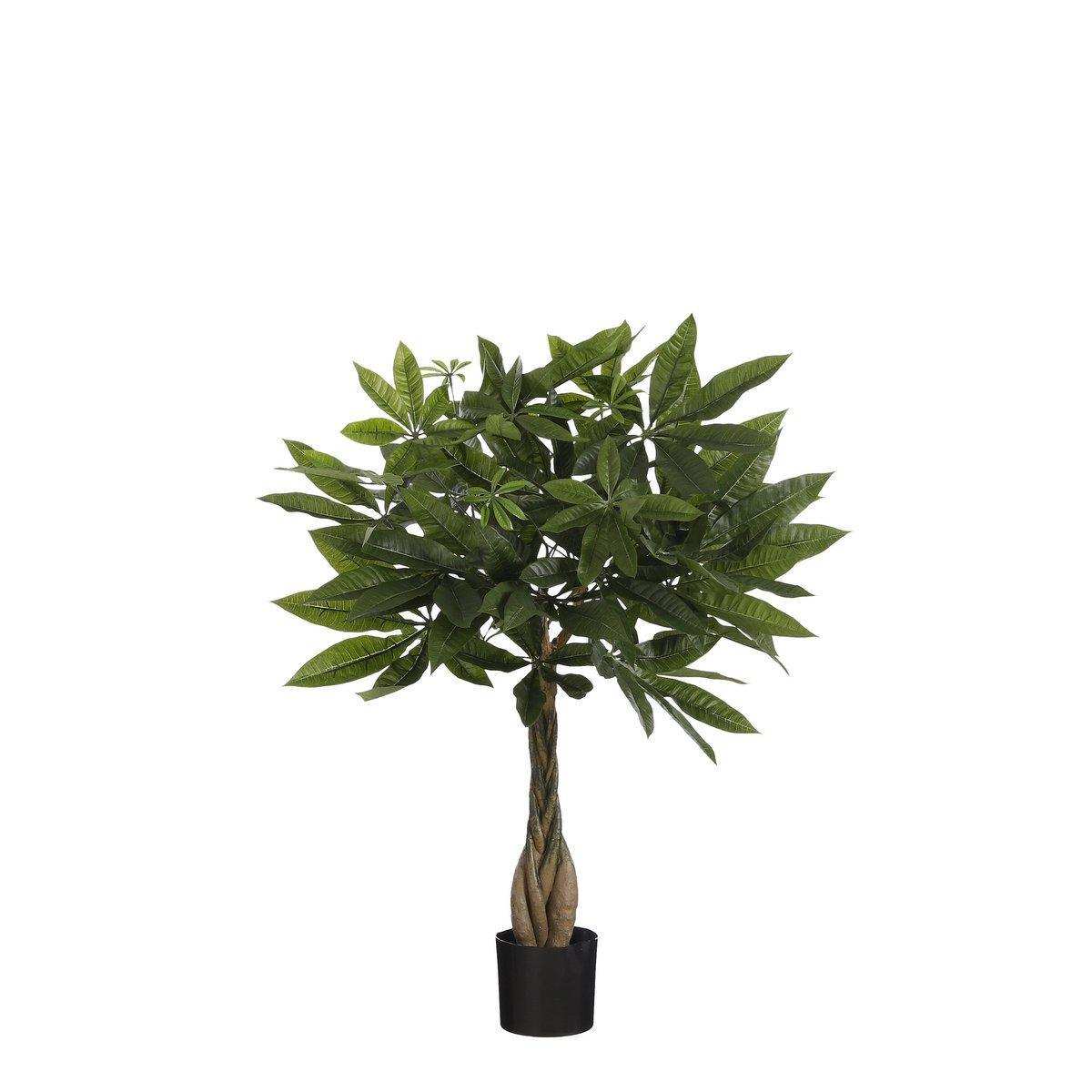Künstliche Pflanze Pachira – H60 x Ø60 cm – Grün - HomeDesign Knaus
