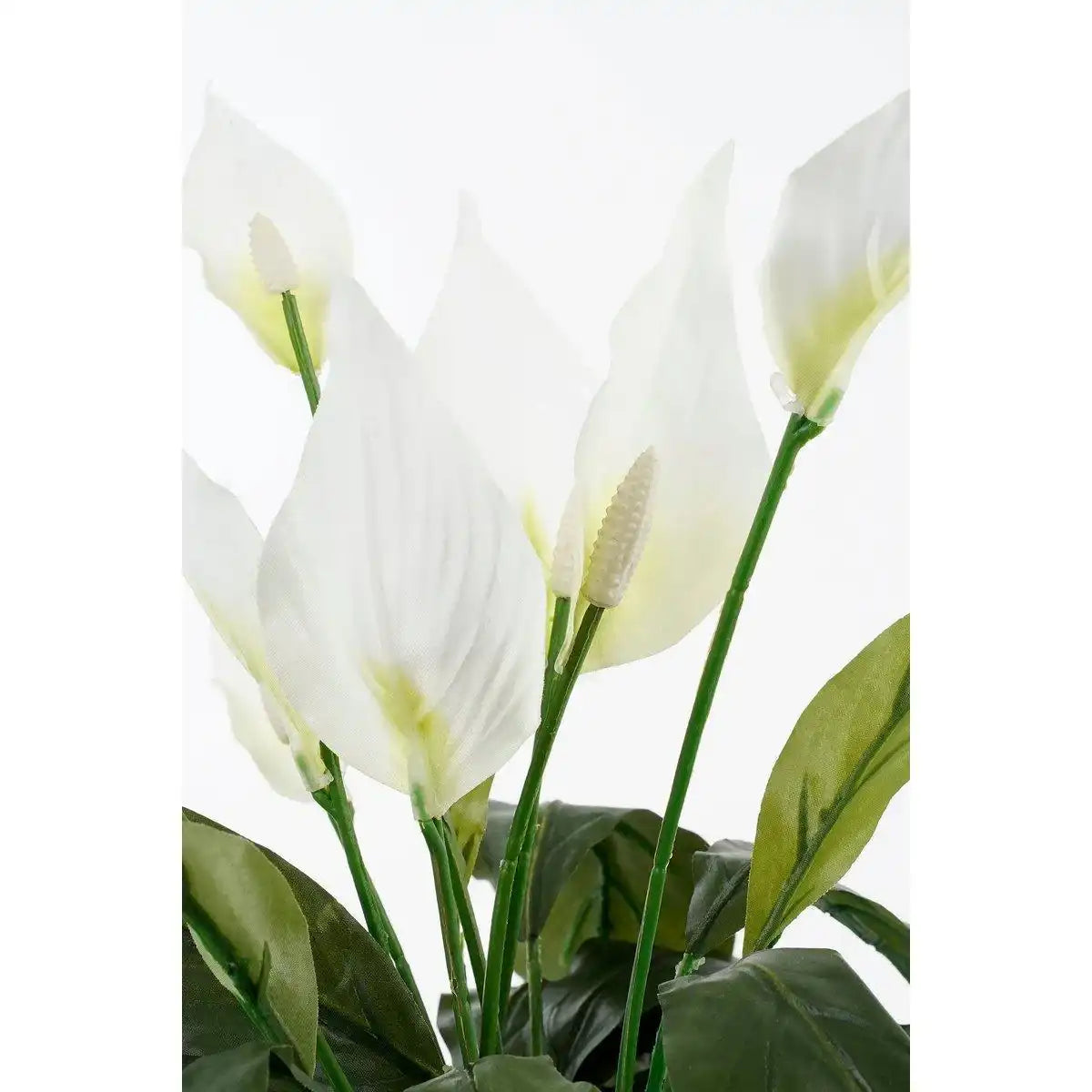 Künstliche Pflanze Spathiphyllum im Blumentopf Stan – H50 x Ø40 cm – Weiß - HomeDesign Knaus