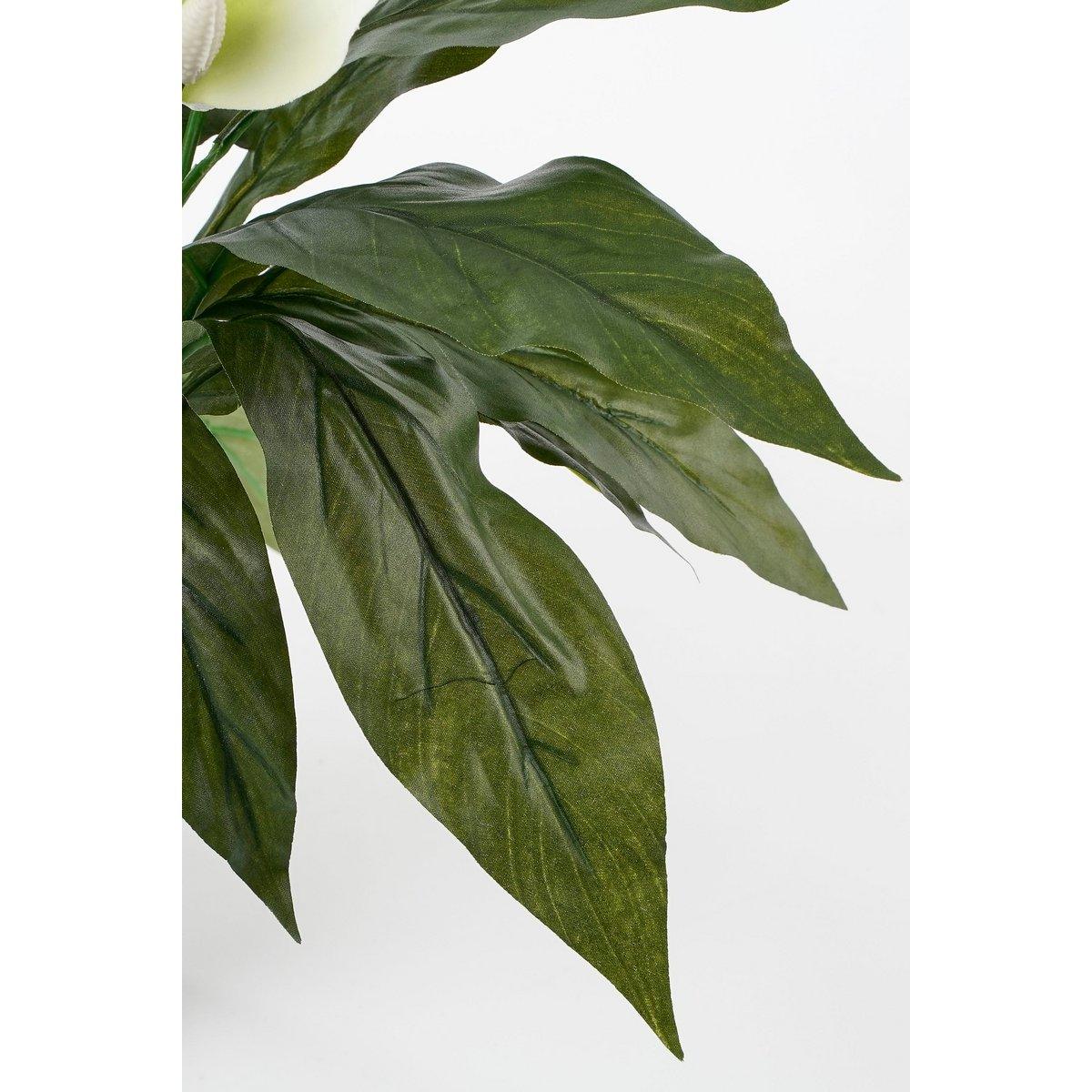 Künstliche Pflanze Spathiphyllum im Blumentopf Stan – H50 x Ø40 cm – Weiß - HomeDesign Knaus