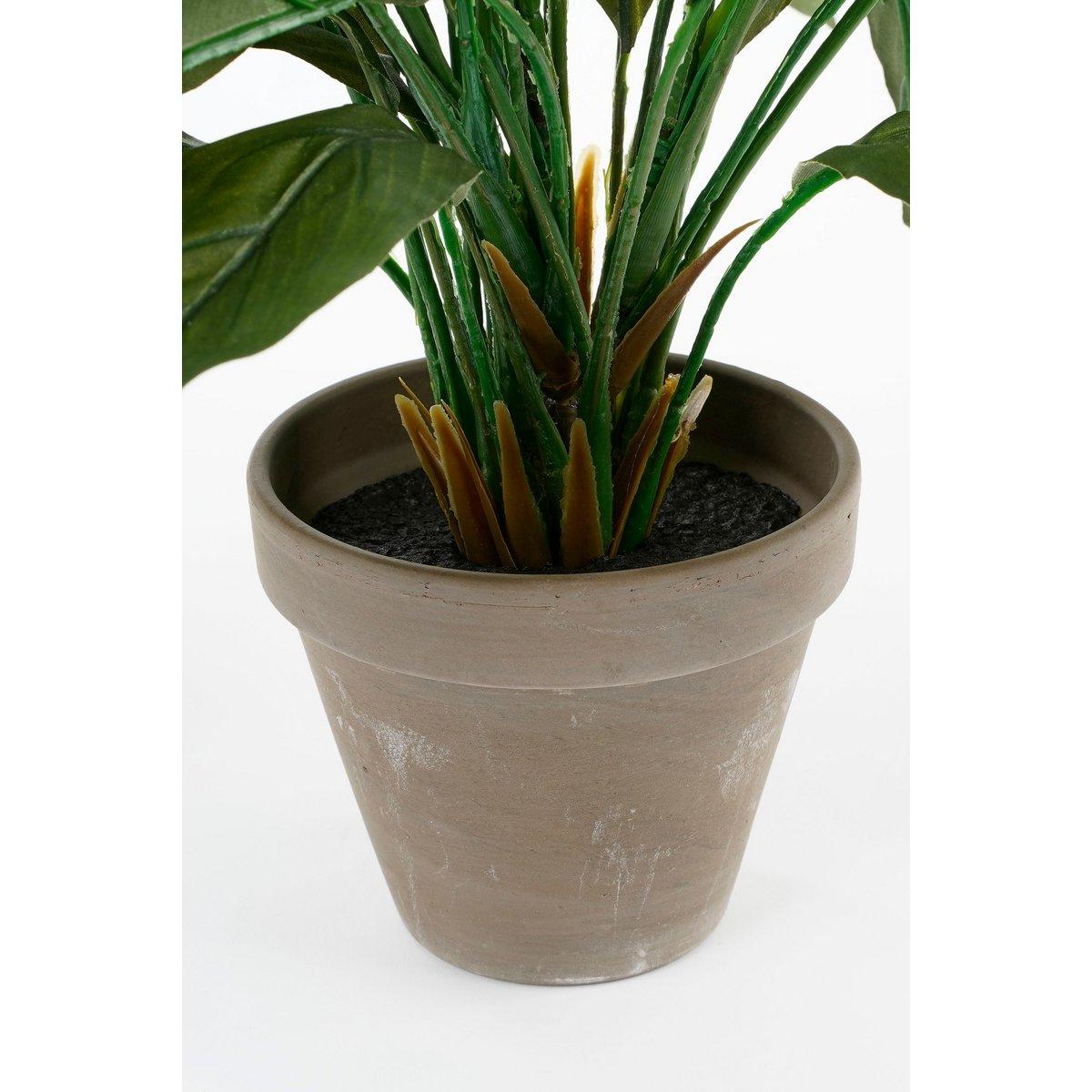 Künstliche Pflanze Spathiphyllum im Blumentopf Stan – H50 x Ø40 cm – Weiß - HomeDesign Knaus